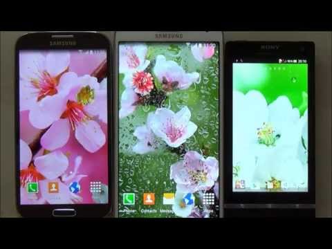 Blooming Trees Live Wallpaper Video