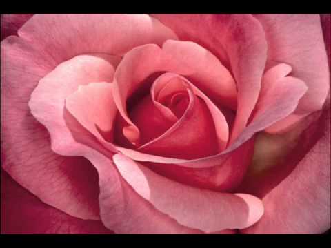 download lagu mp3 mp4 Fariz Rustam Munaf Nada Kasih, download lagu Fariz Rustam Munaf Nada Kasih gratis, unduh video klip Download Fariz Rustam Munaf Nada Kasih Mp3 dan Mp4 Free All Gratis