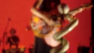 aterciopelados brisbane (dia paranormal)