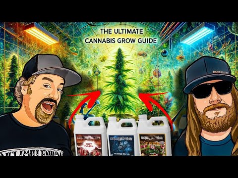 2024 Cannabis Grow Guide: From New Millennium Nutrients
