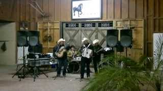 PARA CUANDO REGRESES, LOS VIEJONES DE LINARES