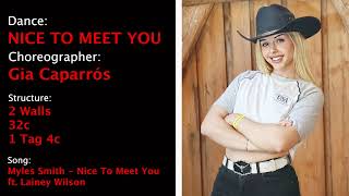 NICE TO MEET YOU by Gia Caparrós