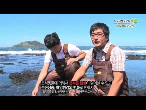 해양생태연구원