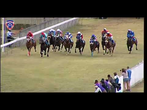 RM27 R2 | Alssakhra | O.Plaçais