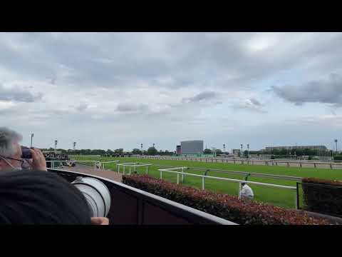 2022.05.08 NHKマイルカップ 残り100m地点