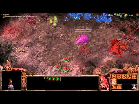 Let's Stream StarCraft Mass Recall [Mittel | Deutsch] - Part 54