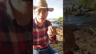 200816 過敏與腎虛的因果關係