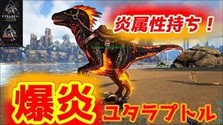 属性持ち動物登場 炎のユタラプトル をテイム Ark Survival Evolved Ark The Center تنزيل الموسيقى Mp3 مجانا