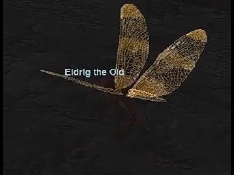 Eldrig the Old, Bard Guide and Solo Kill, EverQuest P99 Green