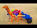 How To Make Camel Cart With Wood Sticks Camel Cart Making Homemade Camel Cart Video