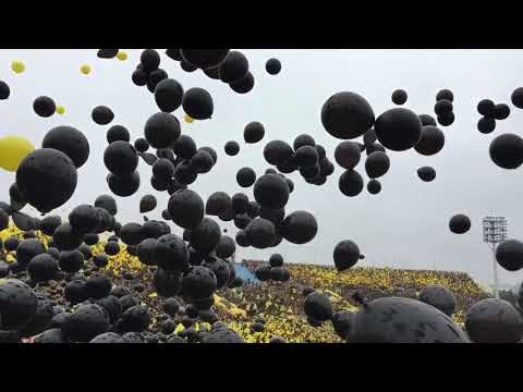 "Recibimiento Peñarol final 2018" Barra: Barra Amsterdam &bull; Club: Peñarol