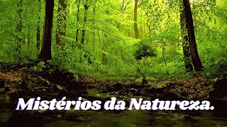 DESVENDANDO OS MISTRIOS DA NATUREZA.