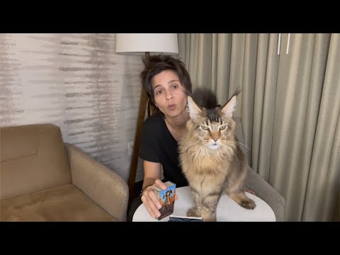 ALL SIGNS - CURRENT ENERGIES CHECK IN,No Clarification (Weekend NOVEMBER 19TH - 21ST)