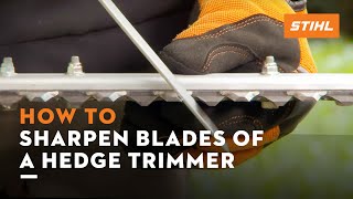 How to sharpen the blades of a hedge trimmer | STIHL
