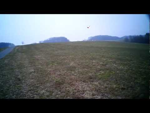 Rochen Ray der neue ( mein zweiter)