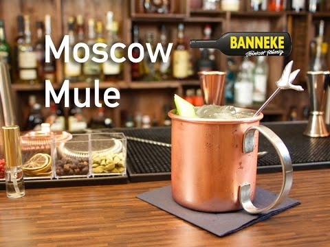 Moscow Mule - Vodka Longdrink selber mixen - Schüttelschule by Banneke