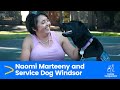 Naomi Marteeny And Service Dog Windsor Canine Companions Servicedog Dog Storytelling