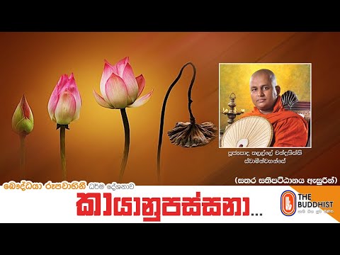 Ven Thalalle Chandakitthi Thero | 2021-05-22 | 12.30 PM (සතර සතිපට්ඨානය - කායානුපස්සනා)