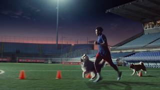 Purina Powers the Team Behind the Team – 2026 Sports Partnership Campaign