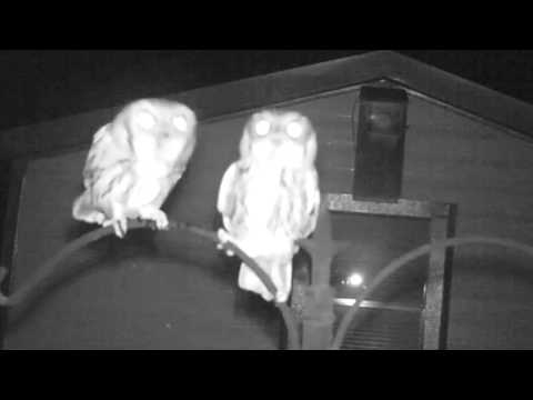 Saison 15/16 : abonnez-vous