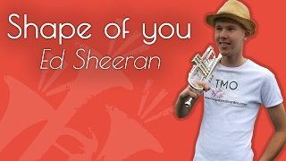 Ed Sheeran - Shape of you (TMO Cover)