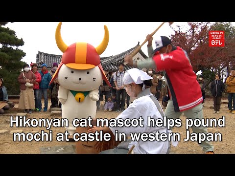 彥延貓吉祥物在西日本城堡幫助搗麻糬 (Hikonyan cat mascot helps pound mochi at castle in western Japan)