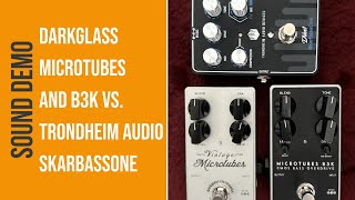 Video thumbnail for Darkglass Overdrives vs. Trondheim Audio SkarBassOne by Bass Bonedo