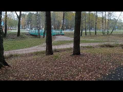 Достопримечательности Мозыря. Лесопарк (31.10.20)