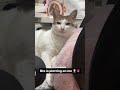 Medazelli Funny Videos Part 3