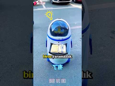Zeki Robotun Dondurma Taktiği! 🤖🍦