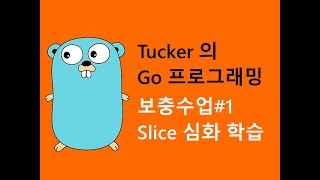 컴맹을 위한 Go 언어 프로그래밍 강좌 보충수업 - Slice 심화