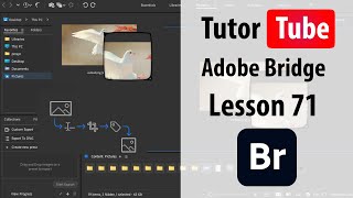 Adobe Bridge - Lesson 71 - Camera RAW Preferences