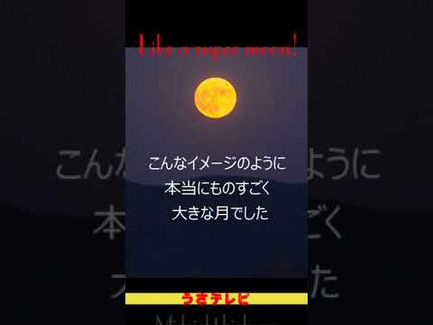 昨夜見ました？１分間の素敵なスーパームーン(ヒーリング)との出会い。音楽と合わせて見てくださいね！編／宇佐麻衣／ブステレビ／USA TV83［公式］うさTV