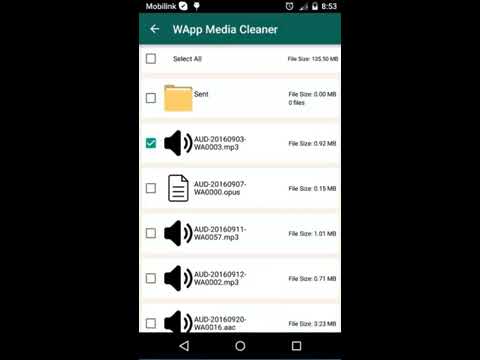 Media Cleaner for Whatsapp Video