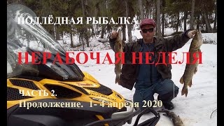 Ссылка