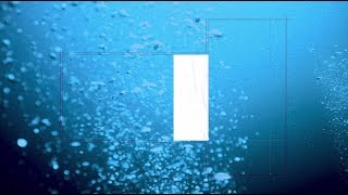 サカナクション / LIVE Blu-ray、DVD「SAKANAQUARIUM2017 10th ANNIVERSARY ～」 special movie