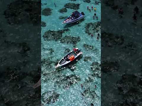 Parrachos de Rio do Fogo RN #shorts