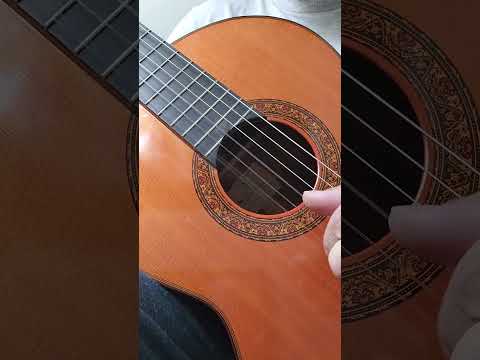 Kazuo Yairi YC50 Handmade Classical Guitar Macassar Ebony 1977 (RARE!) image 12
