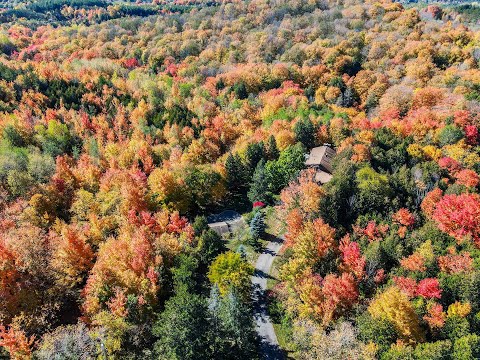 16560 Mountainview Road, Caledon Home for Sale - Real Estate Properties for Sale