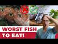 9 WORST Fish To Eat Eat These 3 BEST Healthy Fish INSTEAD