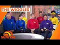 The Wiggles Announce New Wiggly Big Day Out Tour