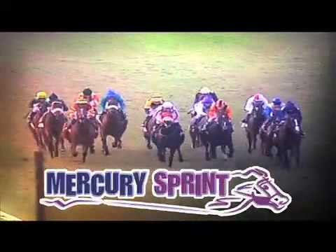 Mercury Sprint 2012 web
