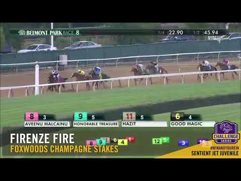 2017 Foxwoods Champagne Stakes
