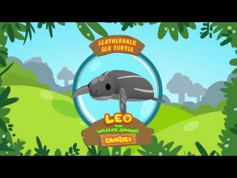 Witness21 Editor  2018 10 19