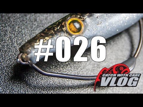 Strike Pro Pig Shad JR 20cm C014