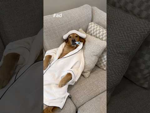 Teddy tricked Roo AND taught her about @GoodRx .