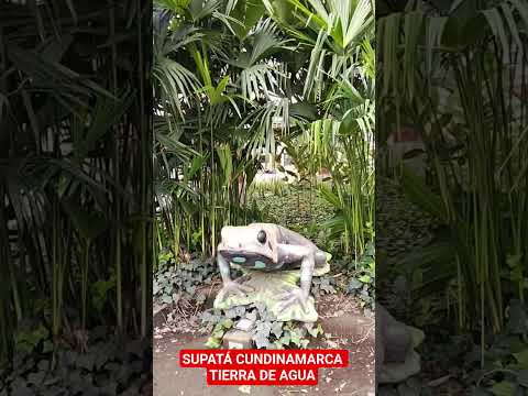 SUPATÁ CUNDINAMARCA NATURALEZA PURA