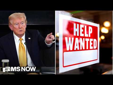 ‘This is GASLIGHTING’: rough jobs report highlights wealth gap as Trump says economy is ‘great’