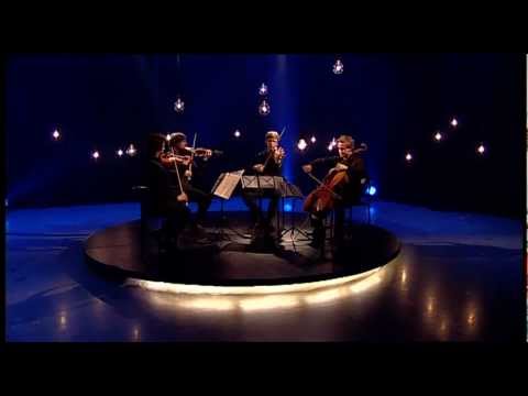 Quartetto Testosterone - Philip Glass: String Quartet No. 5 - 3rd Movement
