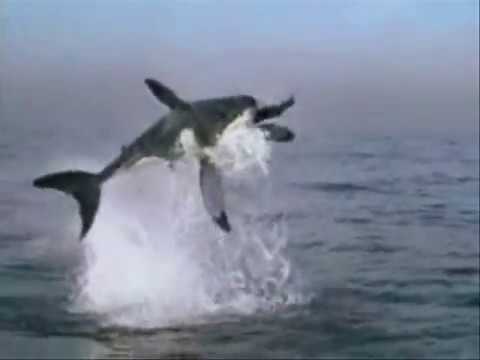 Doppel-h-gang - Zeit steht nie still